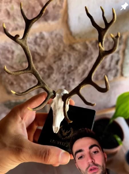 Publicación de Instagram: trofeo de ciervo en miniatura sobre peana
