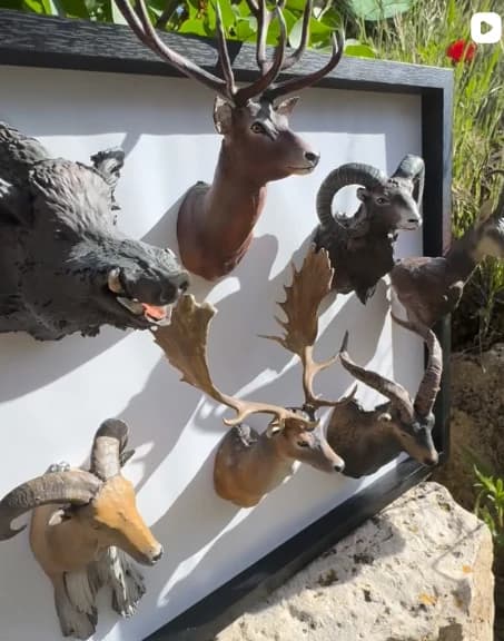 Publicación de Instagram: cuadro con trofeos de caza en miniatura